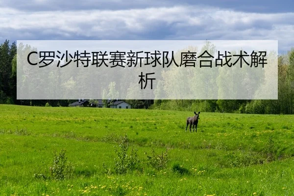luo-sha-te-lian-sai-xin-qiu-dui-mo-he-zhan-shu-jie-xi-2-962.jpg