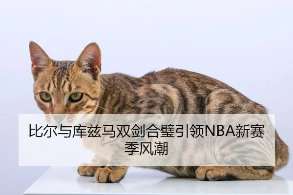 比尔与库兹马双剑合璧引领NBA新赛季风潮